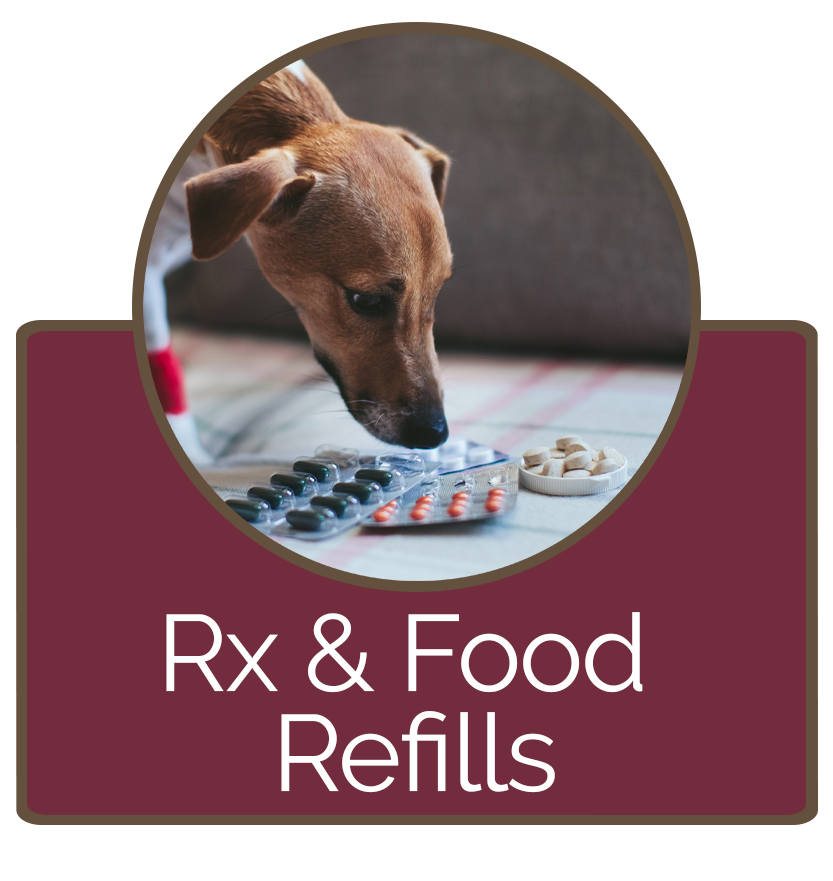 Request Prescription and Food Refills at BVH